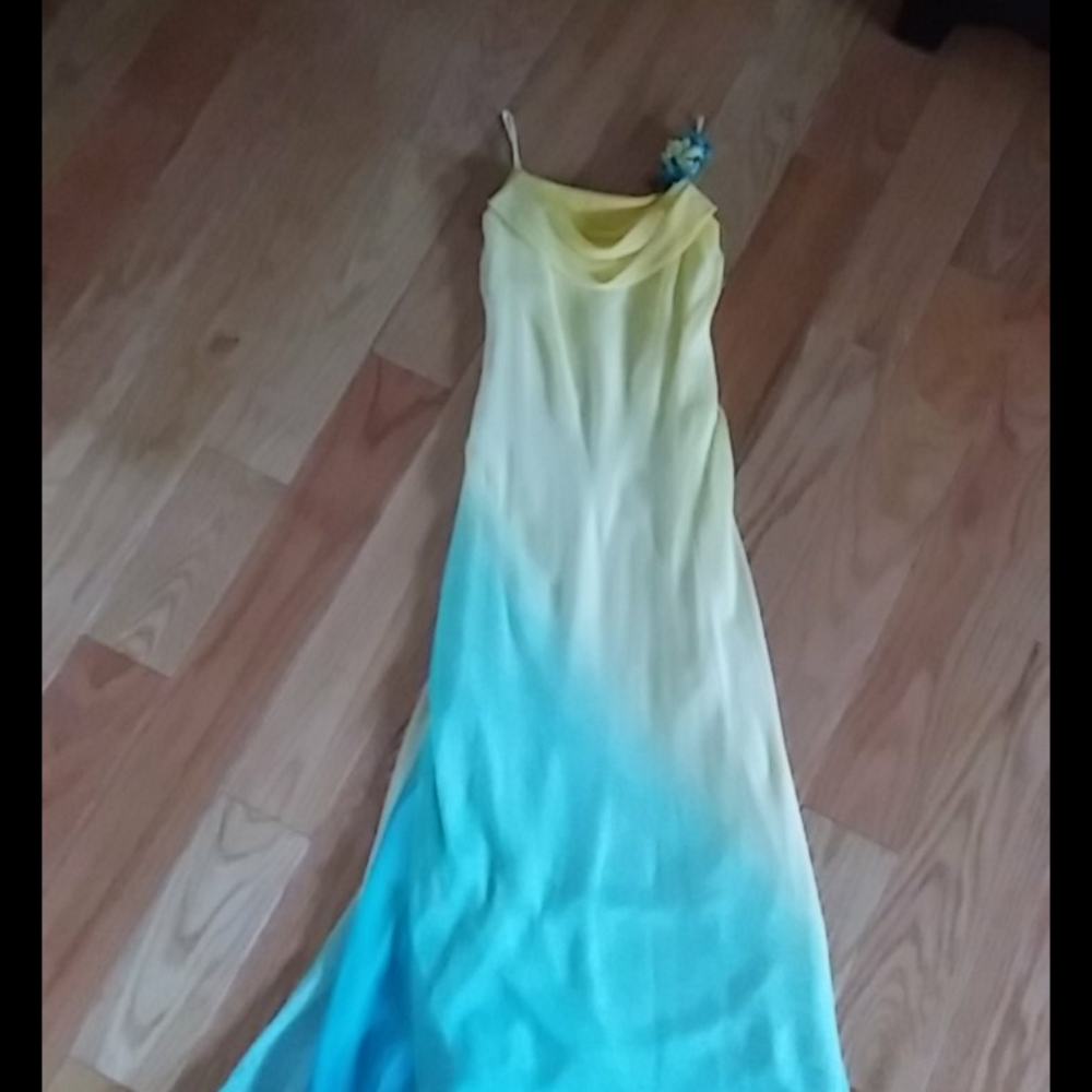 Prom or brides maid dress ... EUC.